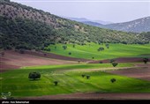 Равнина фиолетовых цветов в районе Герит (Хоррамабад)