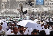 از عرفات تا خانه‌ی دوست؛ قاب‌های ناب از مناسک حج