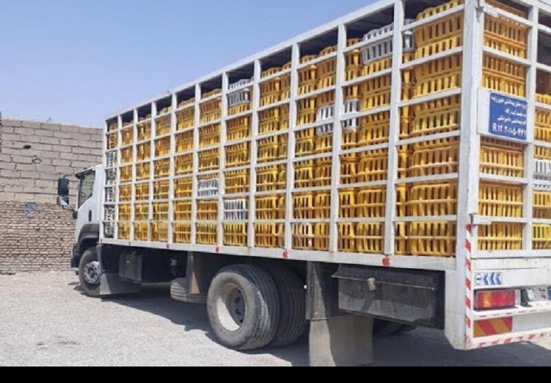 10 تُن مرغ قاچاق با رصد اطلاعاتی سپاه در ایلام توقیف شد