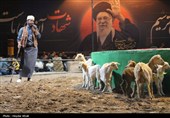شهادت طفلان مسلم در سوگواره ملی تعزیه ده‌زیار