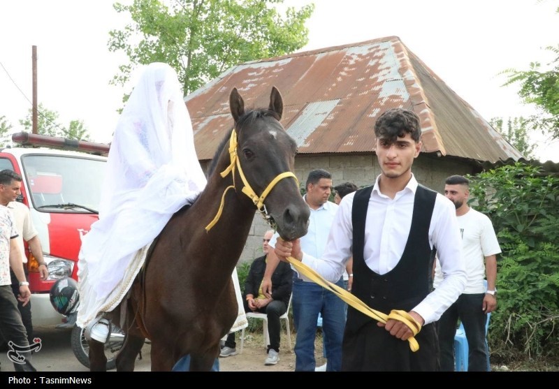 اخبار رشت , اخبار استان گیلان , کشاورزی ,