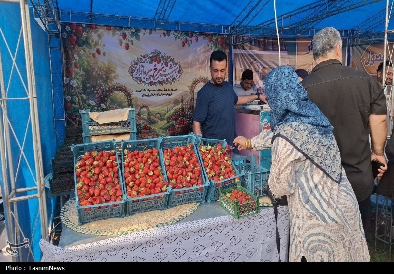 اخبار رشت , اخبار استان گیلان , کشاورزی ,