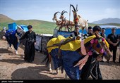 مراسم سنتی کتل عزا در الیگودرز - لرستان