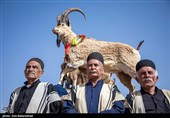 تصاویر این مجموعه، گوشه‌ای از شکوه، احساس و هویت مردمانی را به تصویر می‌کشد که با حفظ سنت‌های خود، یاد و خاطره بزرگانشان را زنده نگه می‌دارند.