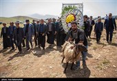 مراسم سنتی کتل عزا در الیگودرز - لرستان