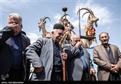 مراسم سنتی کتل عزا در الیگودرز - لرستان