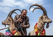مراسم سنتی کتل عزا در الیگودرز - لرستان