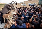 تصاویر این مجموعه، گوشه‌ای از شکوه، احساس و هویت مردمانی را به تصویر می‌کشد که با حفظ سنت‌های خود، یاد و خاطره بزرگانشان را زنده نگه می‌دارند.