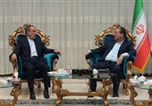 تمرچین گذرگاهی امن برای زائران بین‌المللی اربعین حسینی