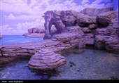 گزارش تصویری| تماشای ماهی‌ها از دل 40 متری تونل شیشه‌ای