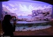 گزارش تصویری| تماشای ماهی‌ها از دل 40 متری تونل شیشه‌ای