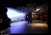گزارش تصویری| تماشای ماهی‌ها از دل 40 متری تونل شیشه‌ای