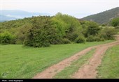 گزارش تصویری| درفک؛ بهشت پنهان رودبار در شکوفایی بهار