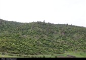 گزارش تصویری| درفک؛ بهشت پنهان رودبار در شکوفایی بهار