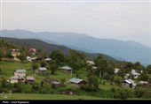 گزارش تصویری| درفک؛ بهشت پنهان رودبار در شکوفایی بهار