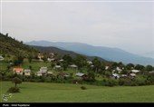 گزارش تصویری| درفک؛ بهشت پنهان رودبار در شکوفایی بهار
