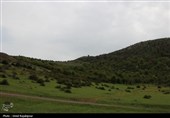 گزارش تصویری| درفک؛ بهشت پنهان رودبار در شکوفایی بهار