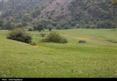 گزارش تصویری| درفک؛ بهشت پنهان رودبار در شکوفایی بهار