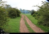گزارش تصویری| درفک؛ بهشت پنهان رودبار در شکوفایی بهار