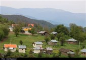 گزارش تصویری| درفک؛ بهشت پنهان رودبار در شکوفایی بهار