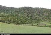 گزارش تصویری| درفک؛ بهشت پنهان رودبار در شکوفایی بهار