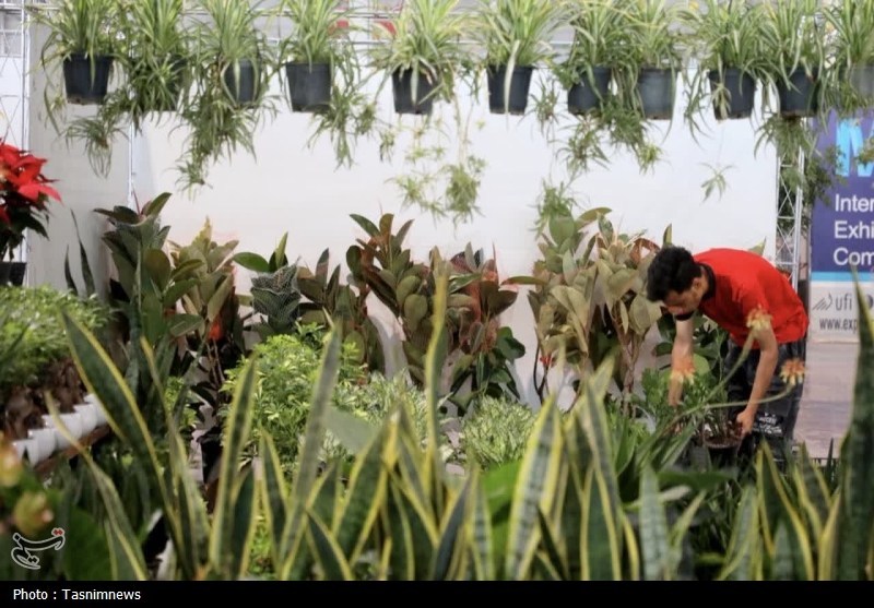 مشهد مقدس , اخبار مشهد , خراسان رضوی , اخبار استان خراسان رضوی , 