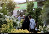 ماجرای گلخانه‌ای که چهره زاهدان را تغییر داد