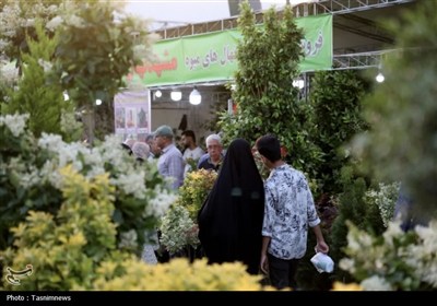 ماجرای گلخانه‌ای که چهره زاهدان را تغییر داد