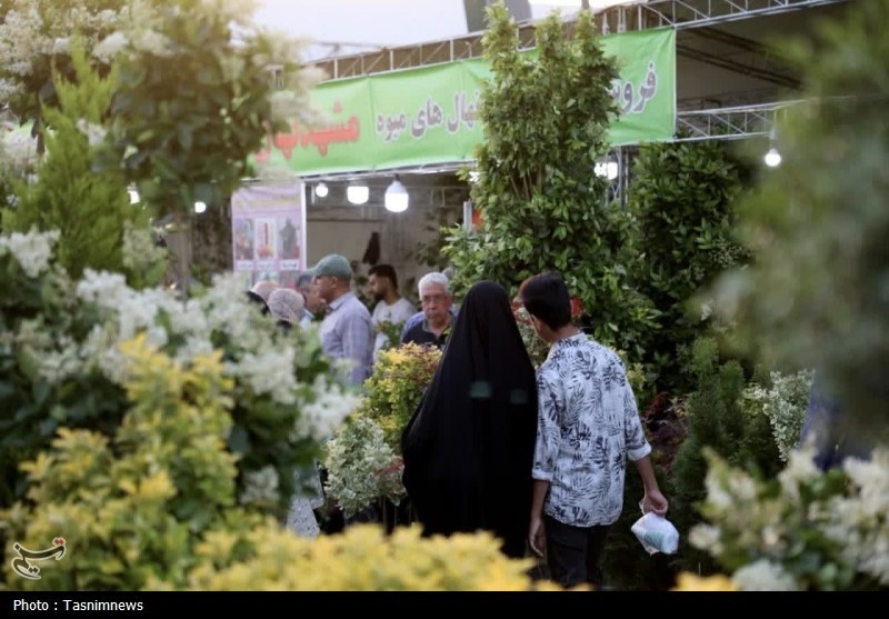 مشهد مقدس , اخبار مشهد , خراسان رضوی , اخبار استان خراسان رضوی , 
