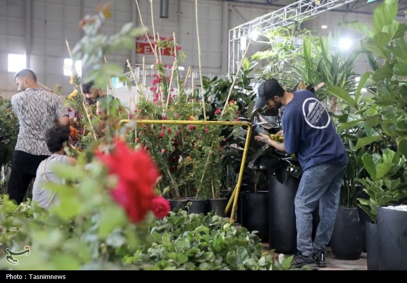 مشهد مقدس , اخبار مشهد , خراسان رضوی , اخبار استان خراسان رضوی , 