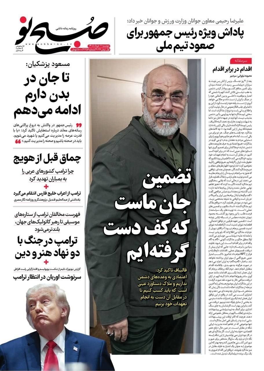 روزنامه وطن امروز , روزنامه کیهان , روزنامه خراسان , روزنامه جوان , روزنامه همشهری , روزنامه جام جم , روزنامه فرهیختگان , روزنامه اینترنتی صدای ایران , 
