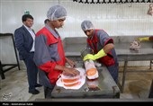 تور رسانه ای سازمان جهاد کشاورزی استان همدان