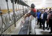تور رسانه ای سازمان جهاد کشاورزی استان همدان