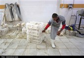 تور رسانه ای سازمان جهاد کشاورزی استان همدان