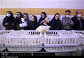 تور رسانه ای سازمان جهاد کشاورزی استان همدان