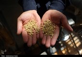 تور رسانه ای سازمان جهاد کشاورزی استان همدان