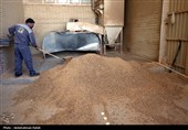 تور رسانه ای سازمان جهاد کشاورزی استان همدان