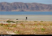 جزیره کبودان پارک ملی دریاچه ارومیه