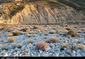 جزیره کبودان پارک ملی دریاچه ارومیه
