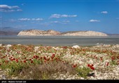 جزیره کبودان پارک ملی دریاچه ارومیه