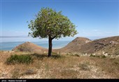 جزیره کبودان پارک ملی دریاچه ارومیه