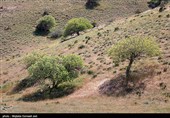 کبودان دره های زیادی دارد که مهم ترین آنها دره قوچ، دره گل ها و دره حسن آقا است.