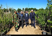 افتتاح بازار گل قزوین