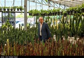 افتتاح بازار گل قزوین