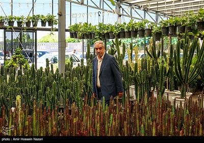افتتاح بازار گل قزوین