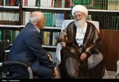 آیت‌الله نوری همدانی: خطوط ترسیم‌شده رهبر انقلاب در مذاکرات رعایت شود