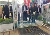 ادای احترام رئیس سازمان بهزیستی کشور به مقام شامخ شهید سلیمانی