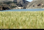 سدهای مشهد تشنه بی آبی