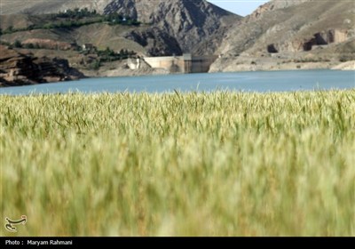 سدهای مشهد تشنه بی آبی