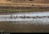 سدهای مشهد تشنه بی آبی